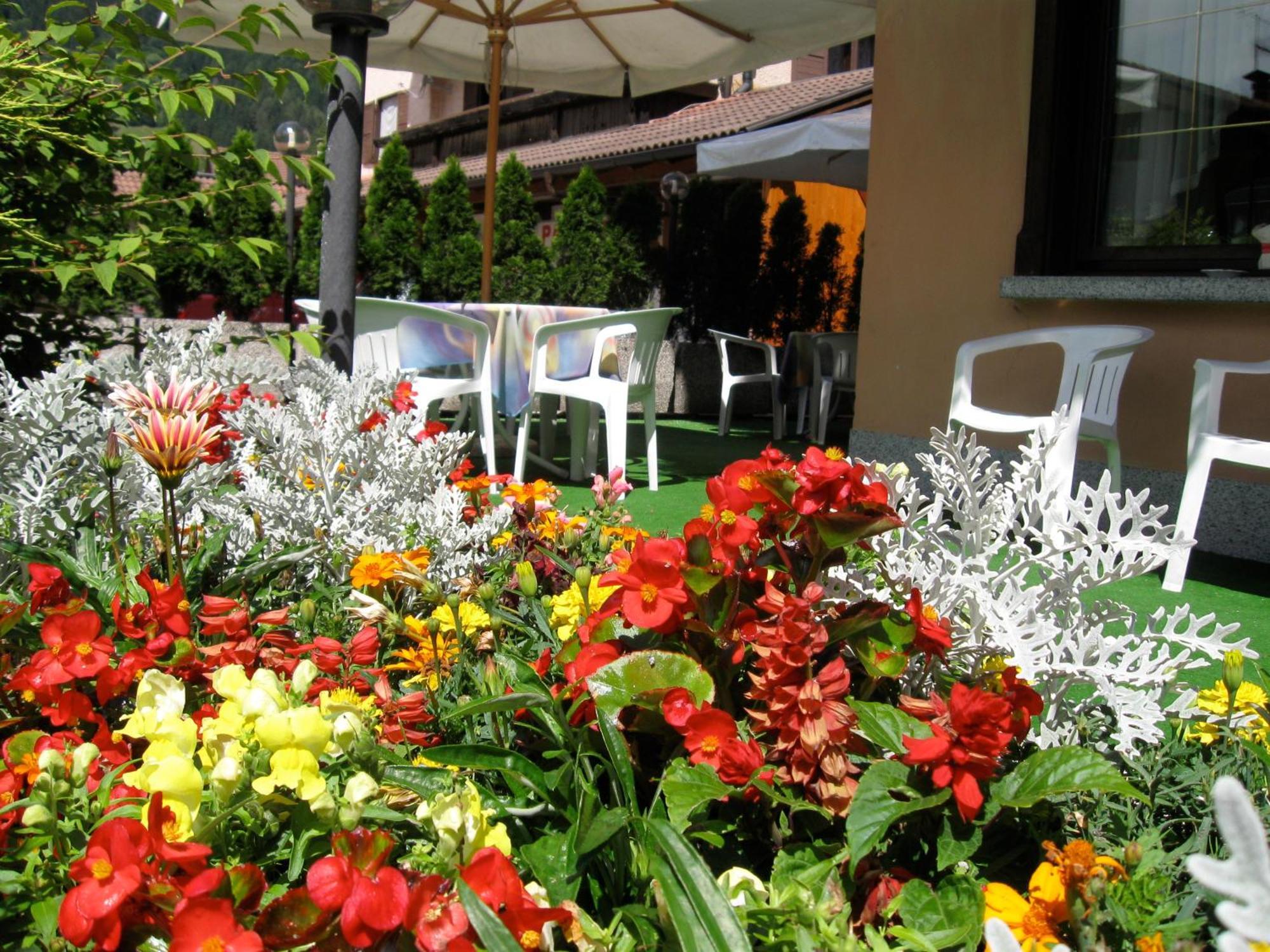 Hotel Binelli Pinzolo Exterior photo